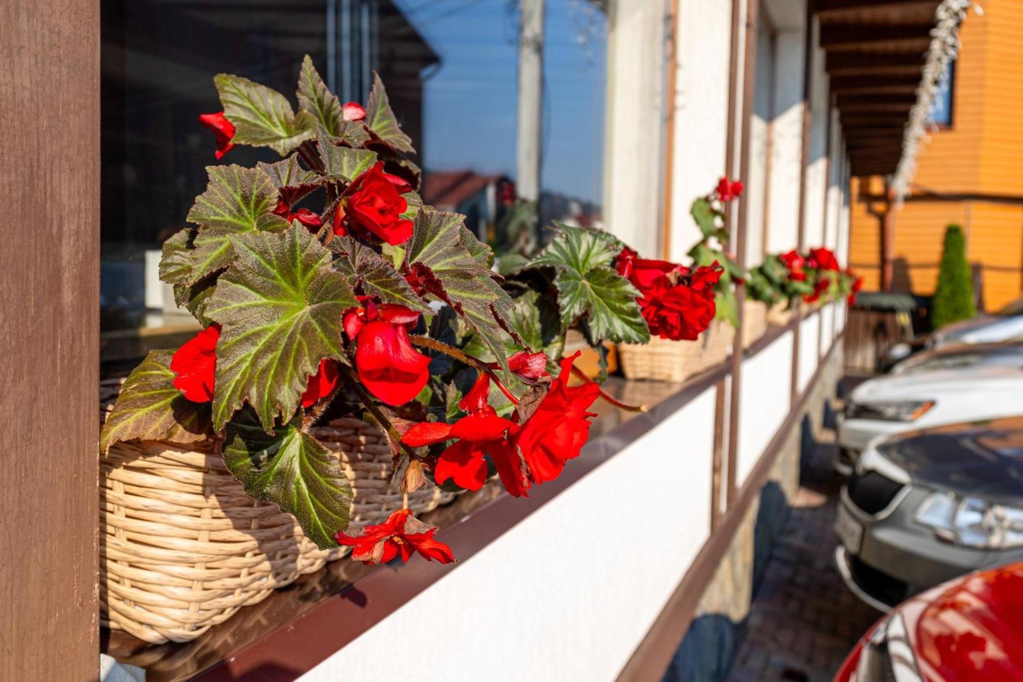 Hotel La Кrechunu Bukowel Zewnętrze zdjęcie